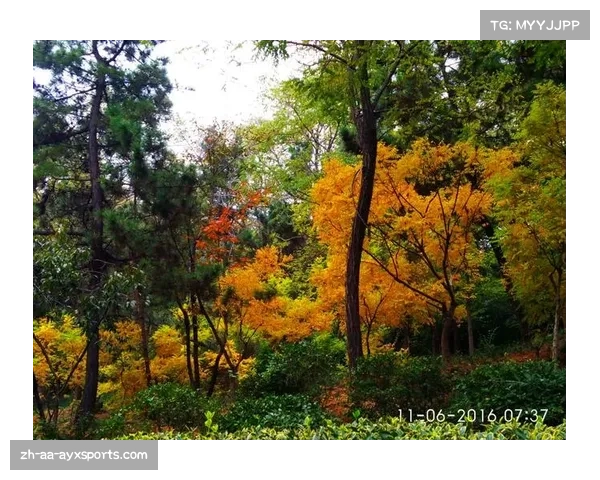 青岛大齐足球俱乐部北岭山停车场周边最佳游玩攻略与交通指南 青岛大齐足球俱乐部北岭山停车场周边最佳游玩攻略与交通指南